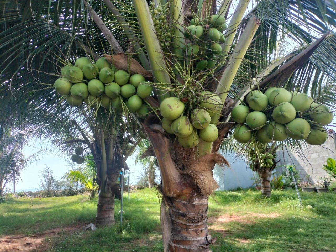 Bien Ngoc Homstay Phan Thiết Buitenkant foto