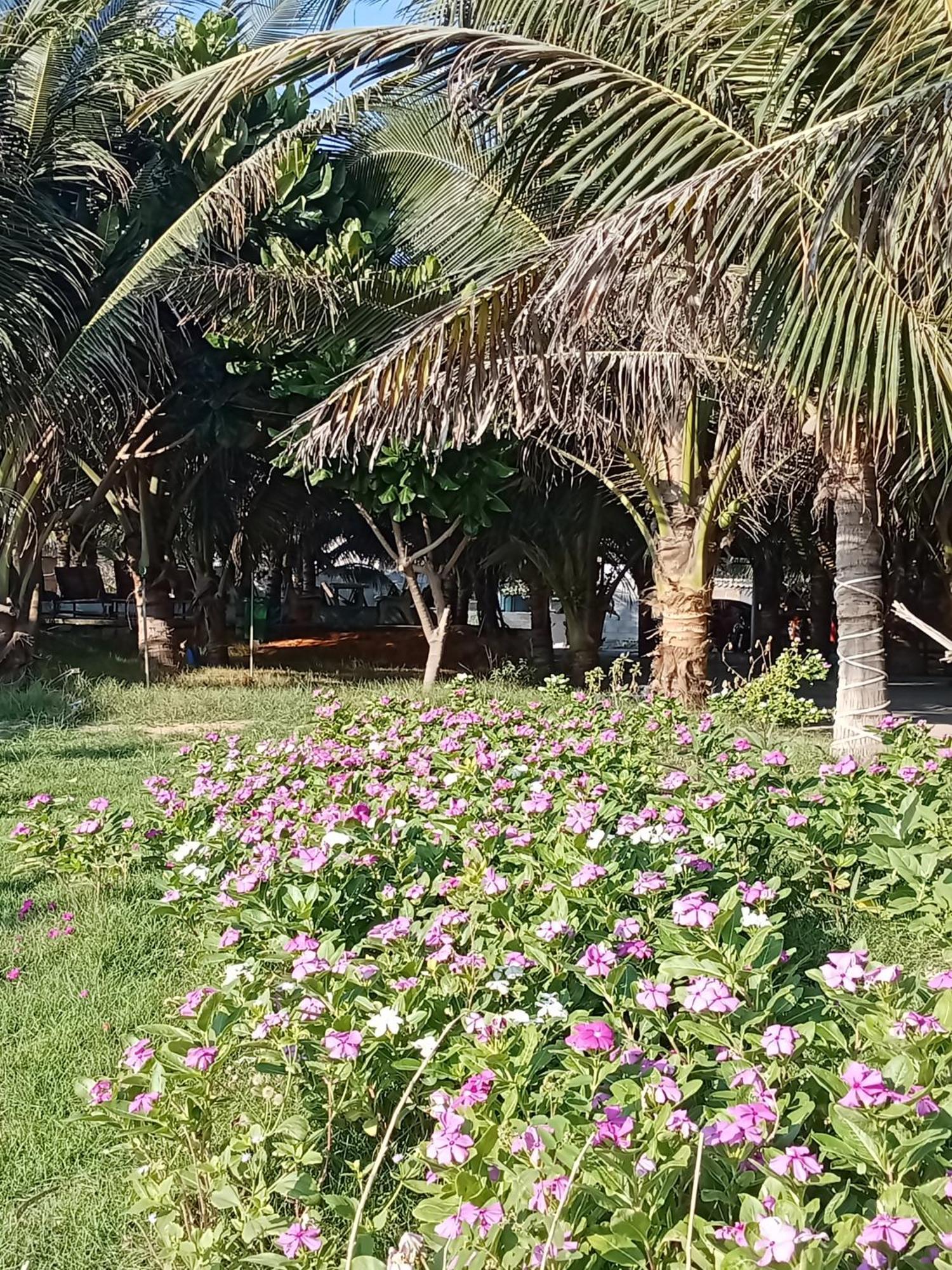 Bien Ngoc Homstay Phan Thiết Buitenkant foto